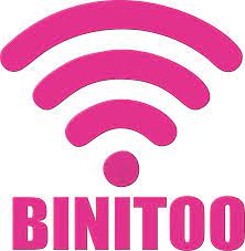 BINITOO AUTO (PTY) LTD