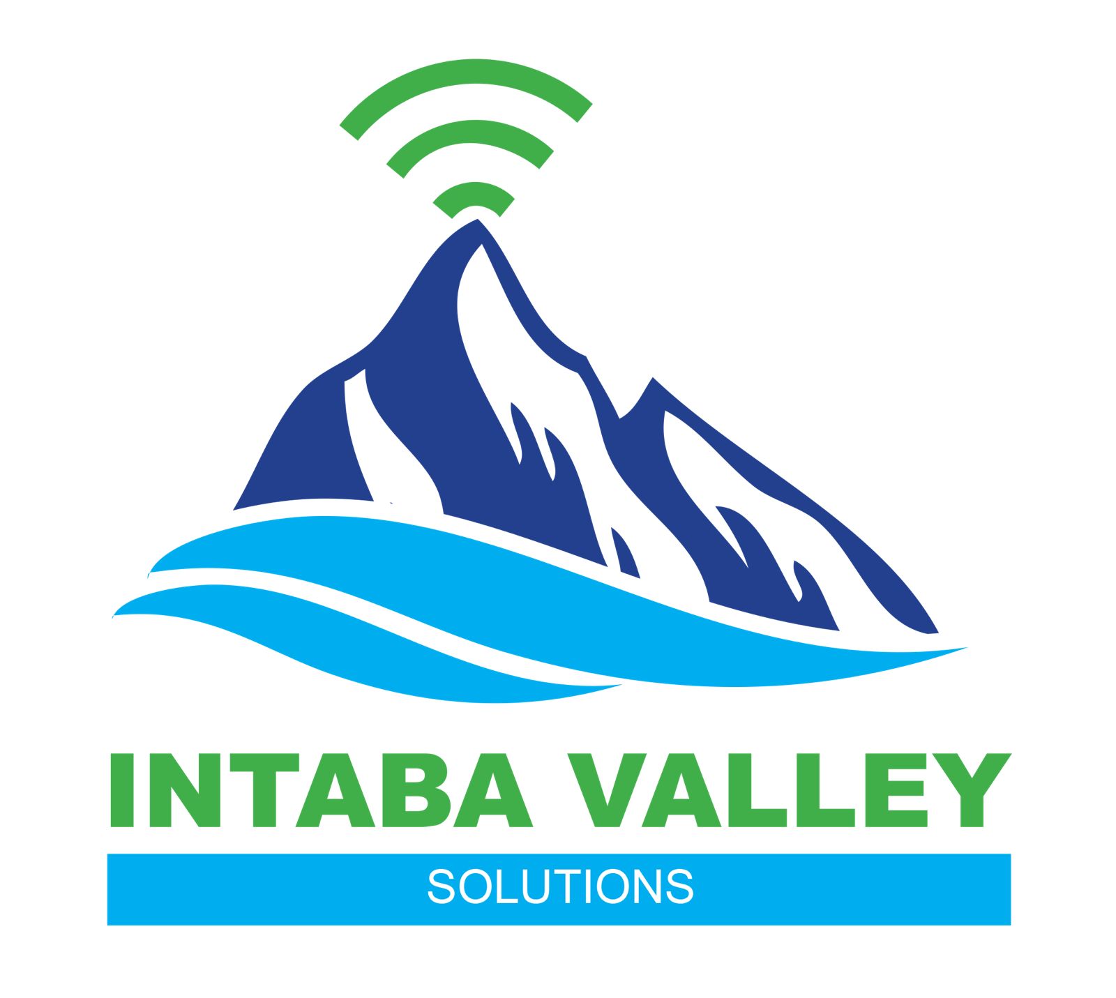 INTABA VALLEY SOLUTIONS (PTY) LTD