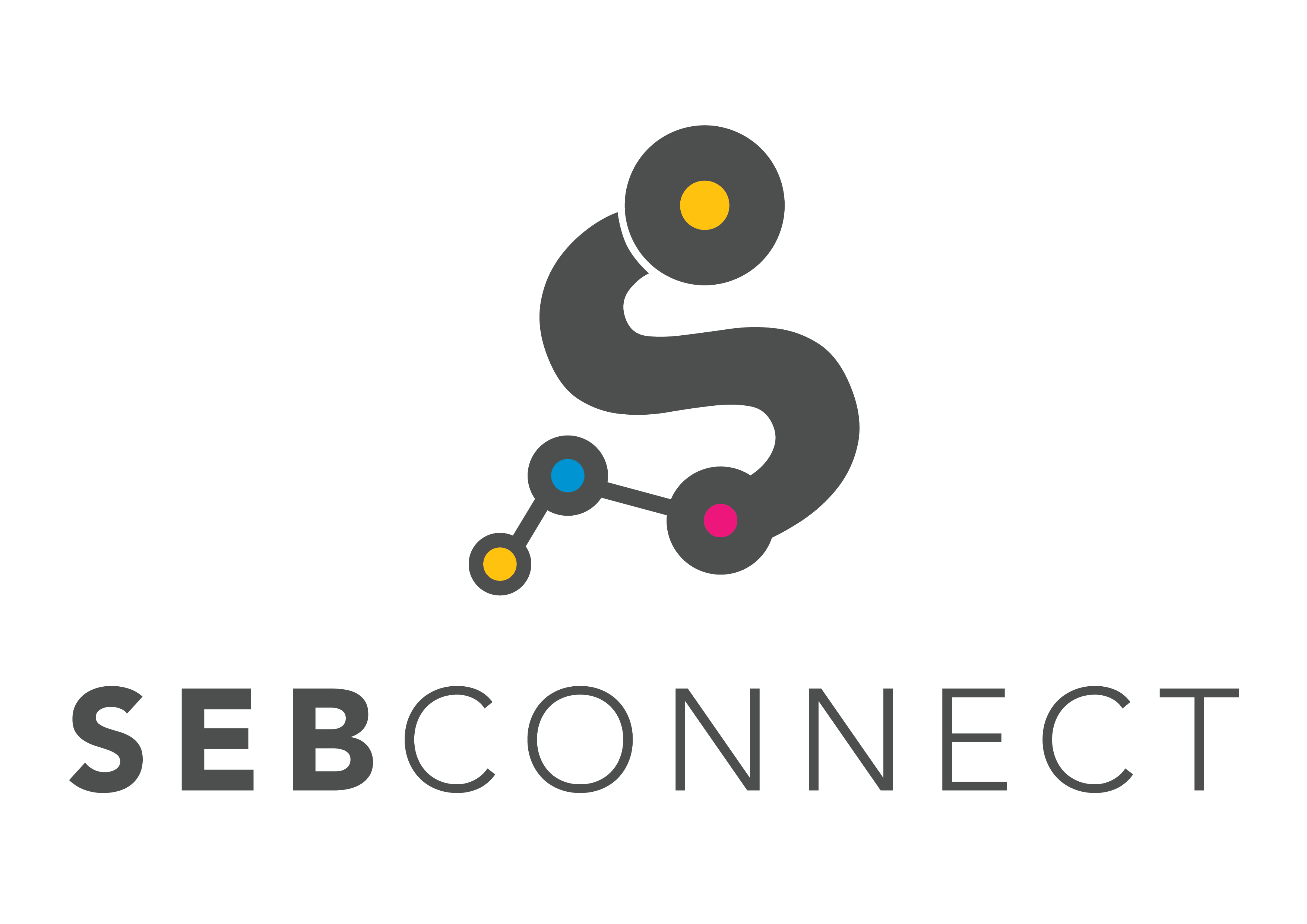 SEB CONNECT
