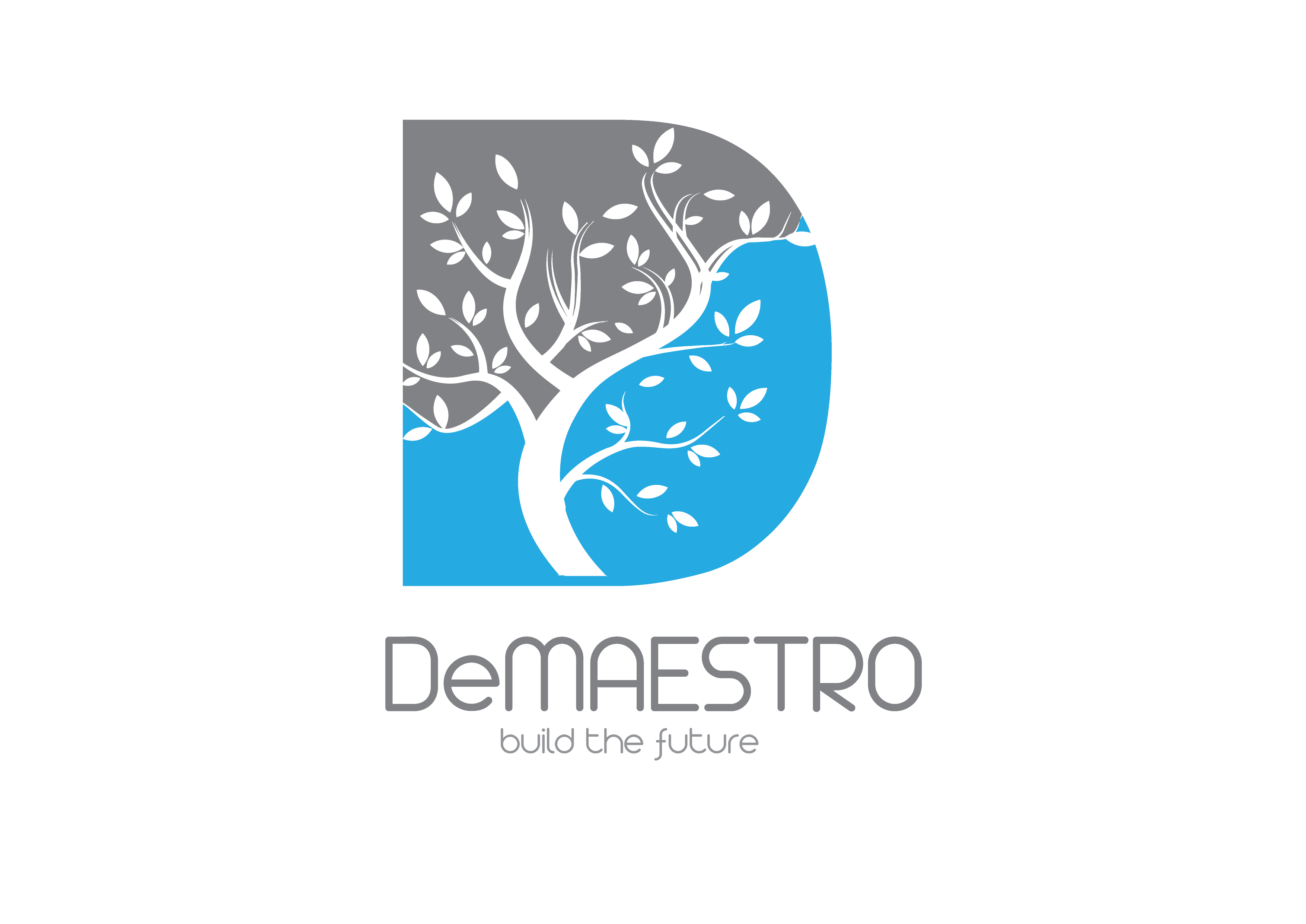 DEMAESTRO (PTY) LTD