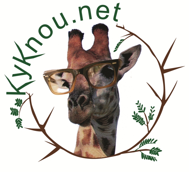 KYKNOU NET CC